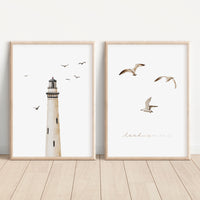 Poster - Möwen - A4 oder A3