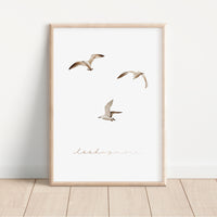 Poster - Möwen - A4 oder A3