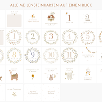 Meilensteinkarten für Babys erstes Jahr