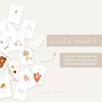 Postkarte Rotkehlchen - A6