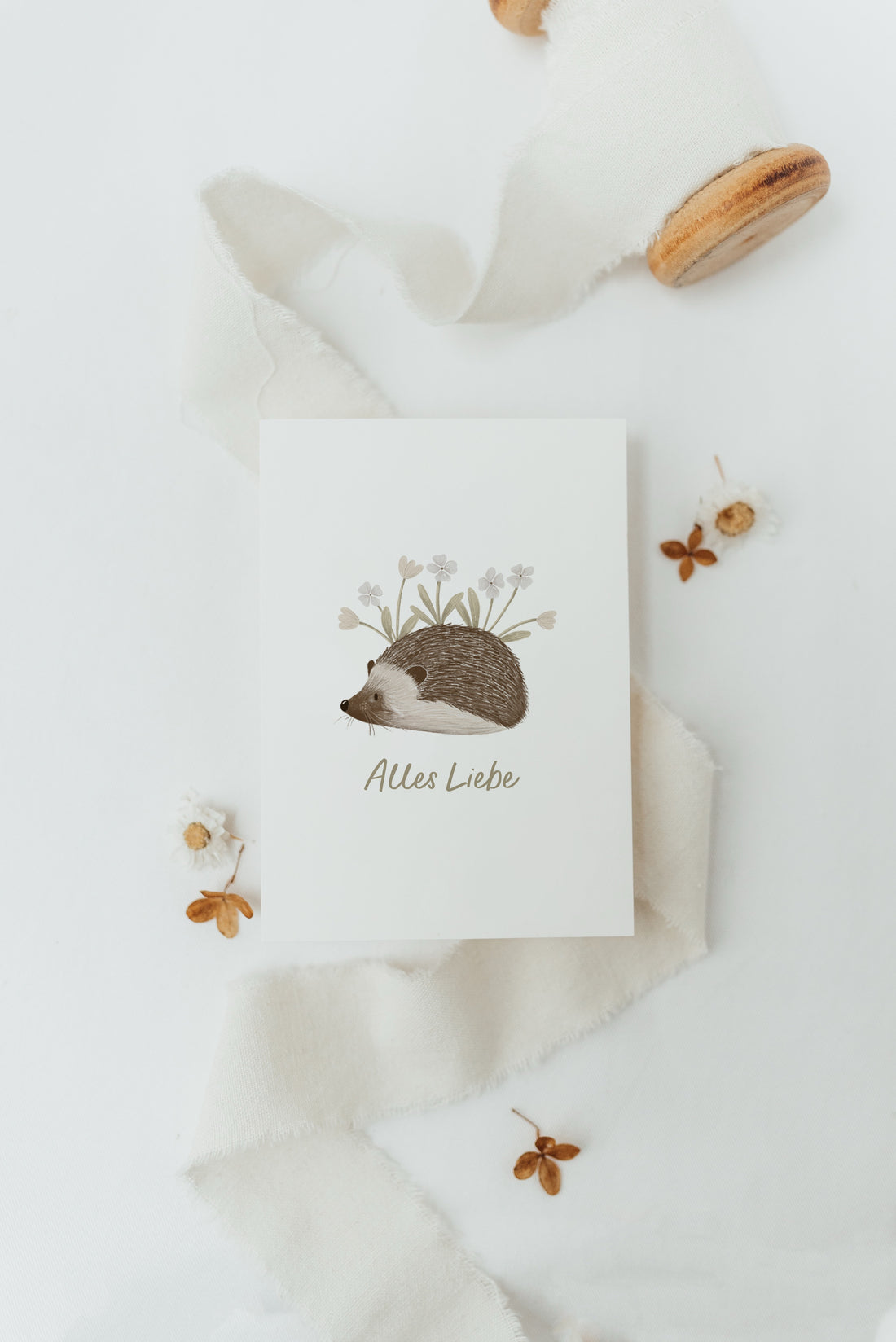 Postkarte Alles Liebe - Igel - A6