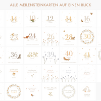 Meilensteinkarten für die Schwangerschaft