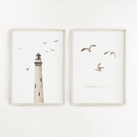 Poster - Möwen - A4 oder A3