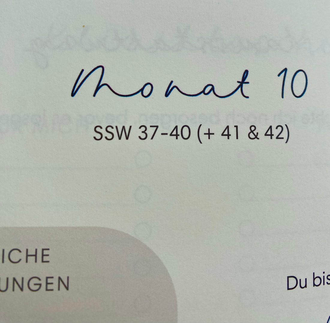 B-WARE Schwangerschaftstagebuch "Liebe im Bauch"