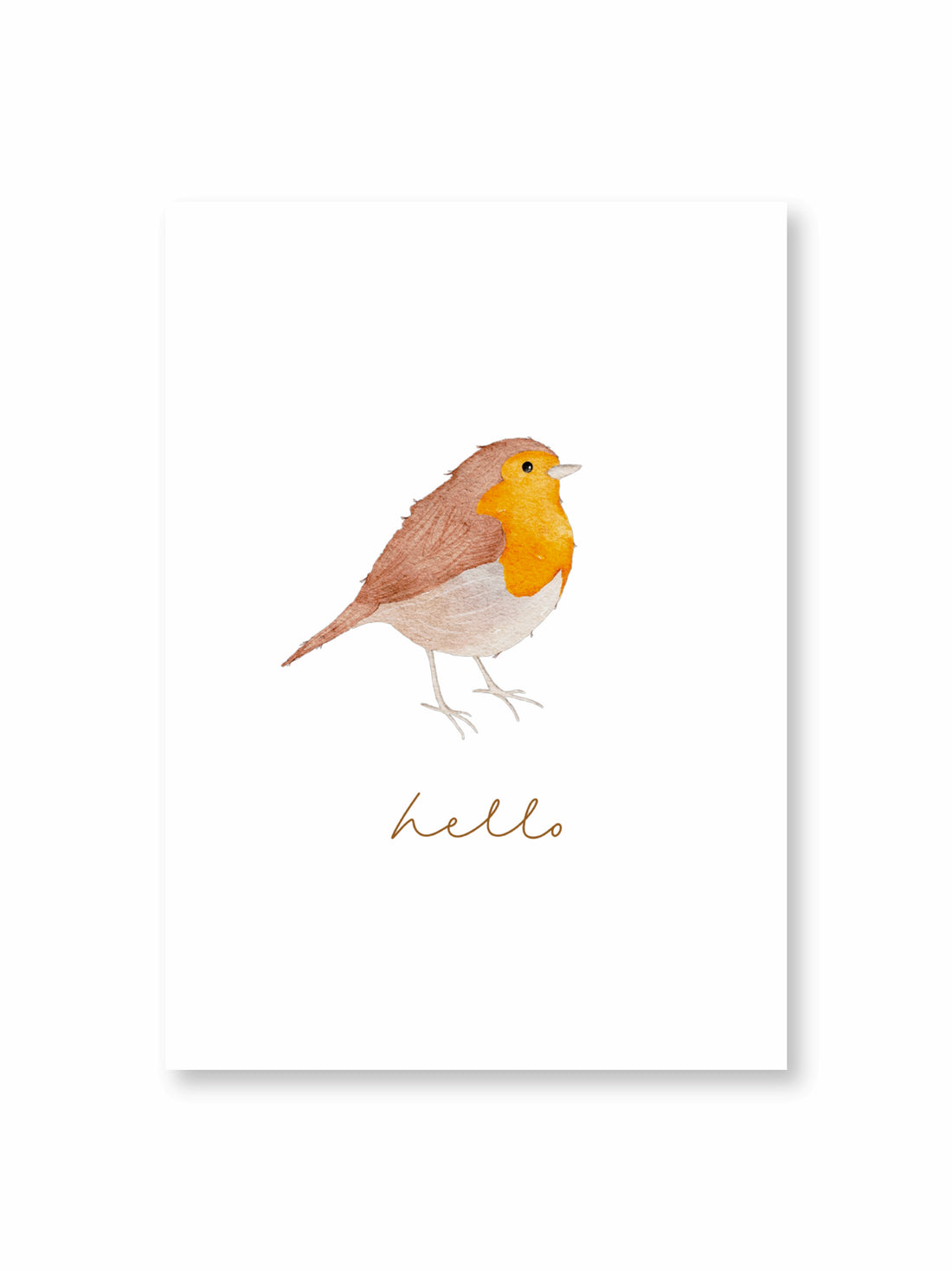 Postkarte Rotkehlchen - A6