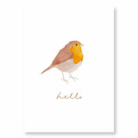 Postkarte Rotkehlchen - A6