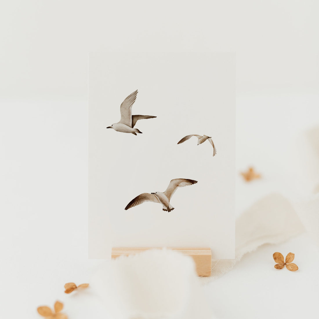 Postkarte Möwen - A6