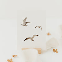 Postkarte Möwen - A6