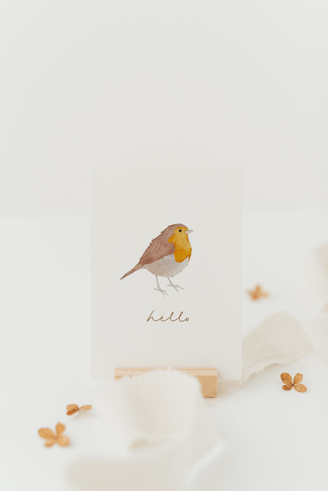 Postkarte Rotkehlchen - A6