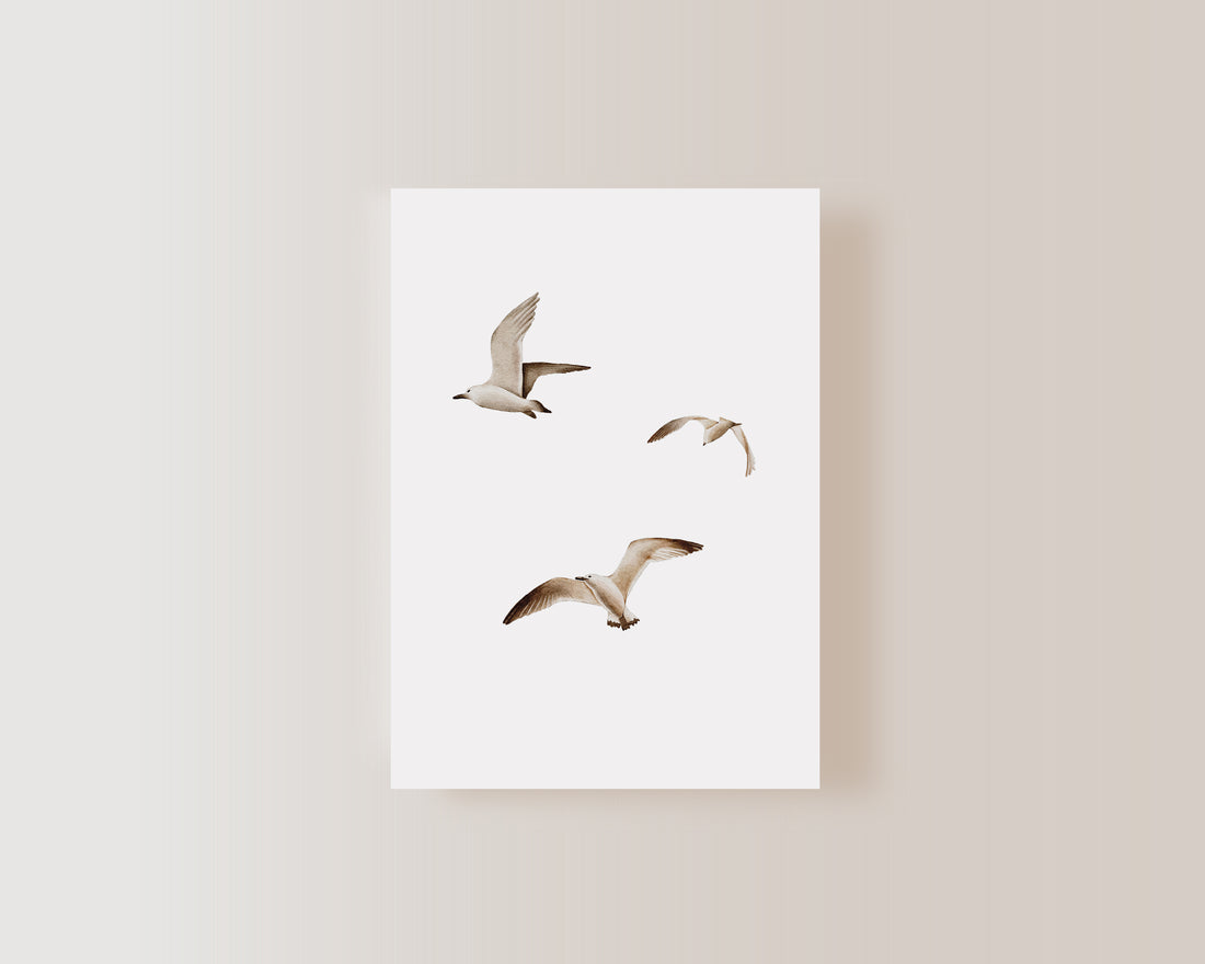 Postkarte Möwen - A6