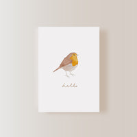 Postkarte Rotkehlchen - A6