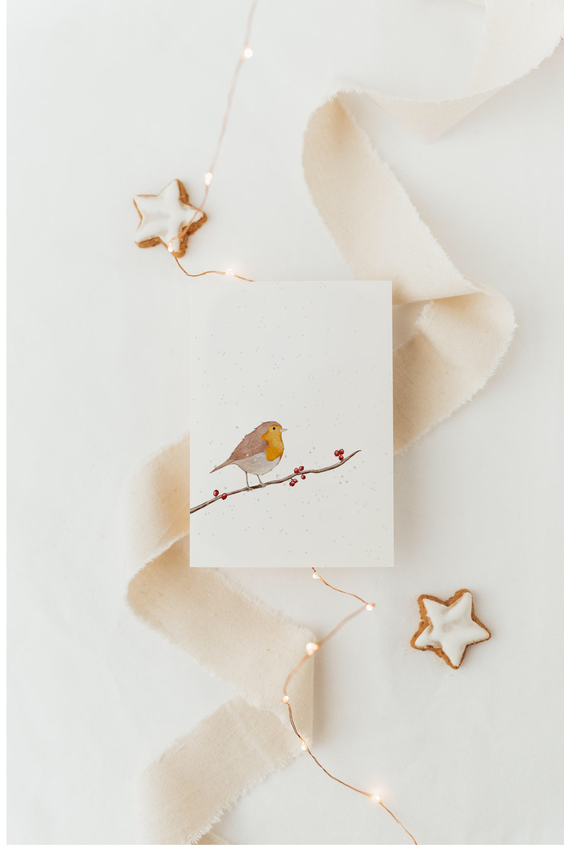 Weihnachtskarte Rotkehlchen - A6