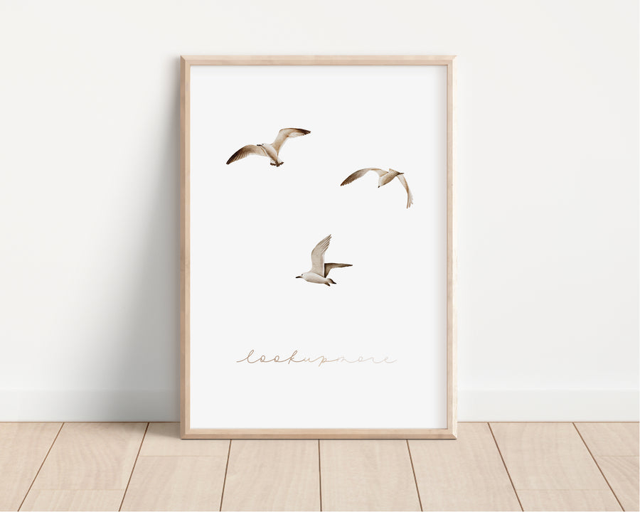 Poster - Möwen - A4 oder A3