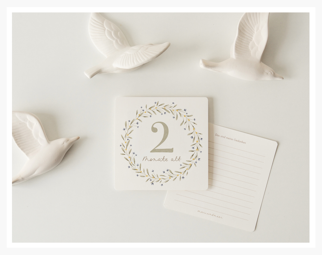 Meilensteinkarten für Babys erstes Jahr