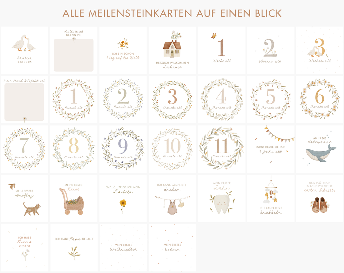 Meilensteinkarten für Babys erstes Jahr
