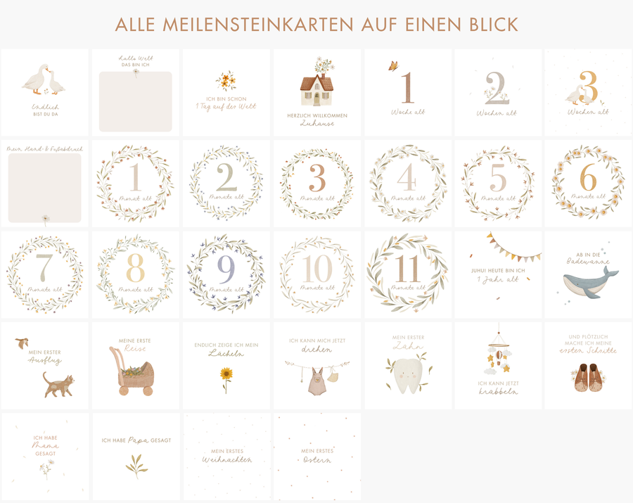 Meilensteinkarten für Babys erstes Jahr