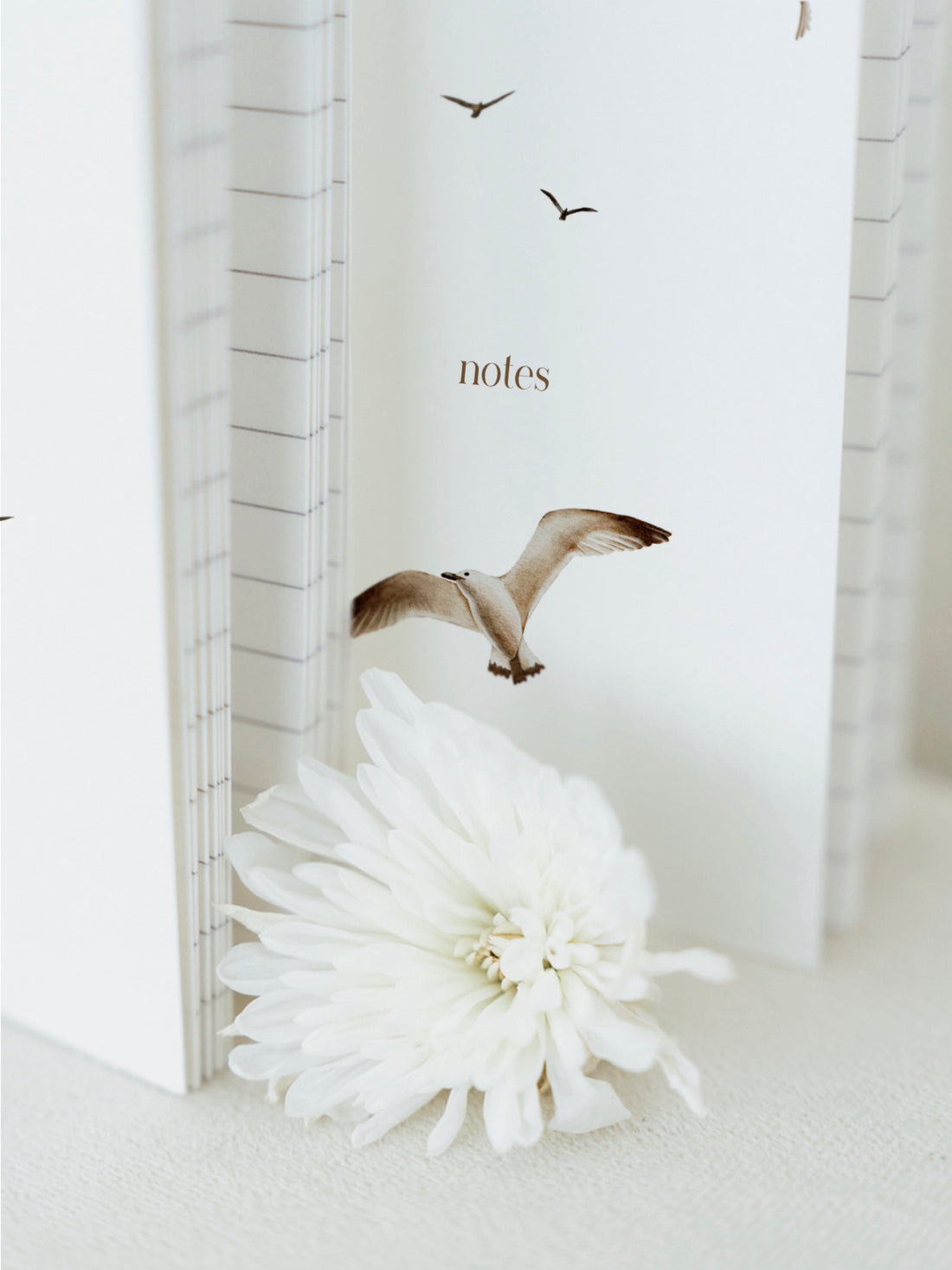 Notizheftchen A6 im 2er Set - Leuchtturm & Möwen