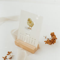 Postkartenkalender 2027 in A6 / Tischkalender 2027 / Kalender zum verschenken