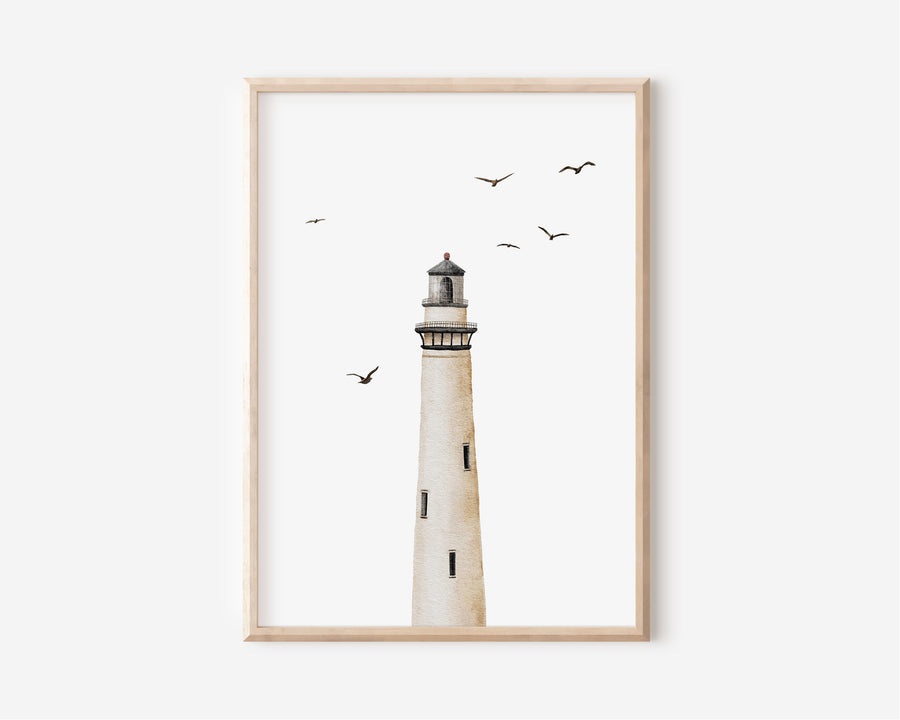 Poster - Möwen - A4 oder A3