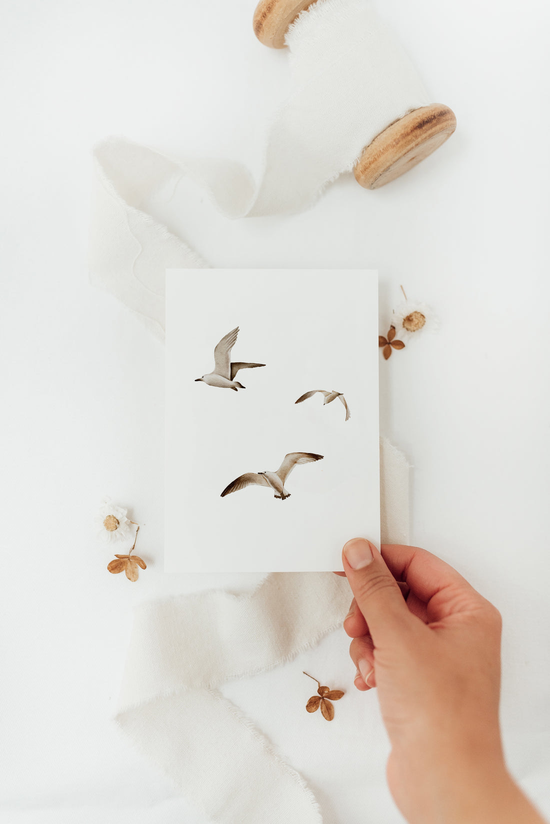 Postkarte Möwen - A6