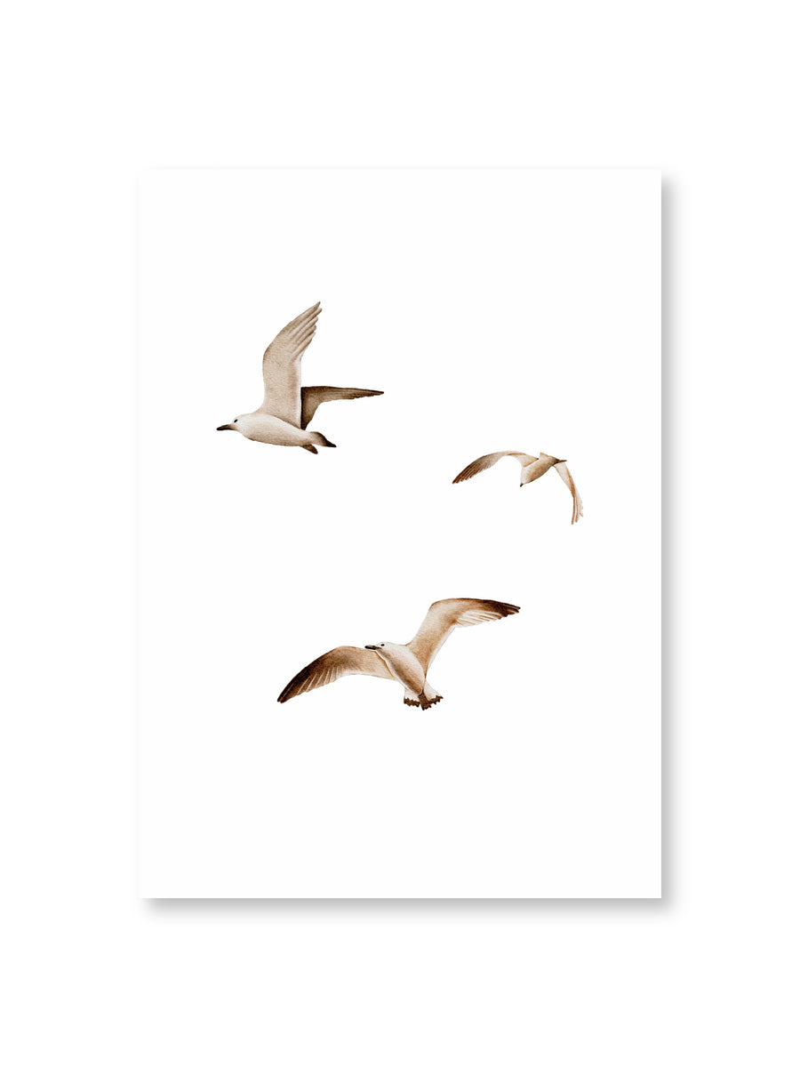 Postkarte Möwen - A6
