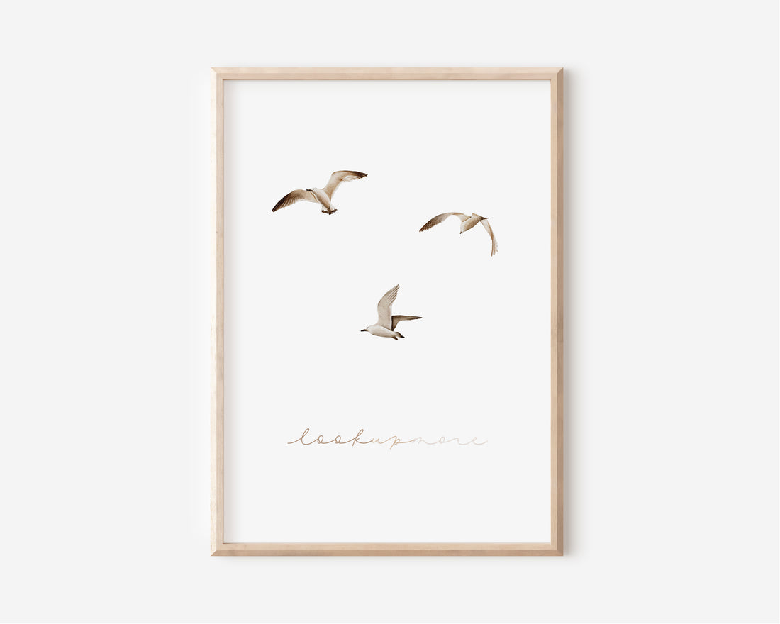 Poster - Möwen - A4 oder A3