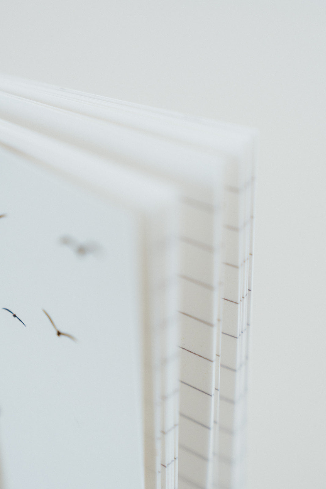 Notizheftchen A6 im 2er Set - Leuchtturm & Möwen