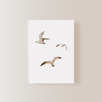 Postkarte Möwen - A6